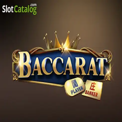 bet login ব্যাকারেট C08